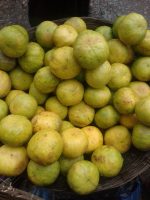 সিলেটের সাতকড়া - 4 Pcs - Image 3